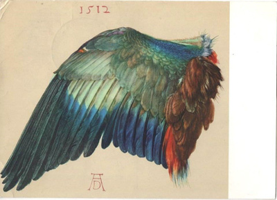 kortti °/** Dürer Albrecht Luonto tai ihminen - erilaisia