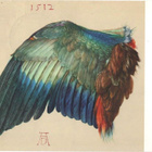 kortti °/** Dürer Albrecht Luonto tai ihminen - erilaisia - pikkukuva 1