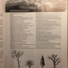 Ilmajoen joulu 2004 - pikkukuva 2
