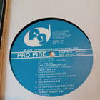 Pro Fide LP - pikkukuva 2