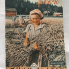 Pellervo n:o 3-4 1955 - pikkukuva 1