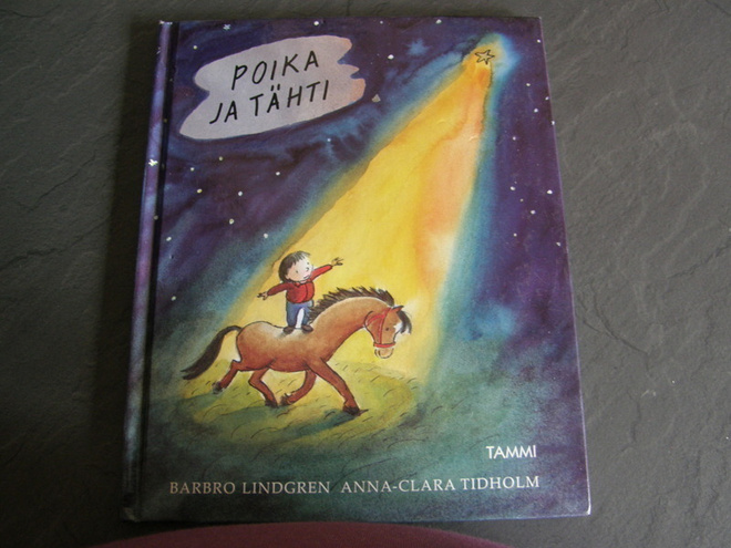 Lindgren -Tidholm Poika ja tähti