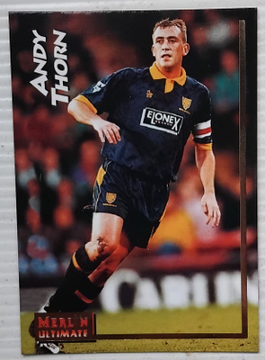 1995 Merlin #238 Andy Thorn Wimbledon