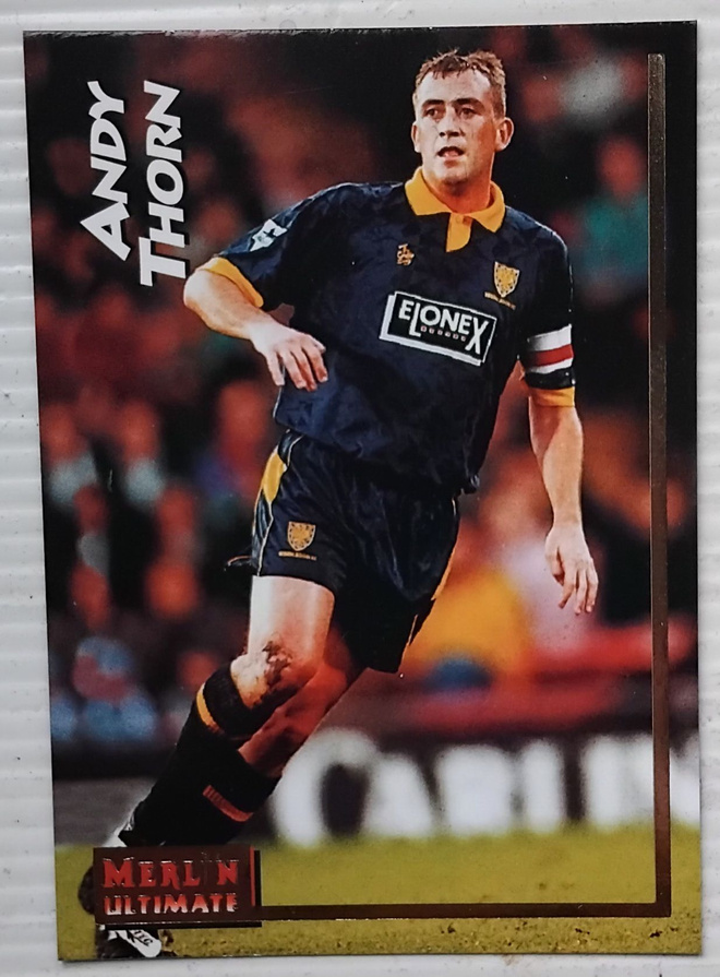 1995 Merlin #238 Andy Thorn Wimbledon