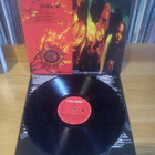 Alice In Chains - Dirt LP - pikkukuva 2