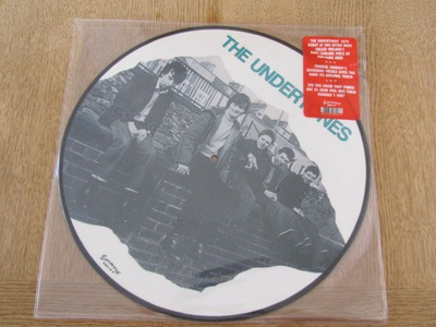 The Undertones The Undertones lp IT 2000 kuvalevy kuin uusi
