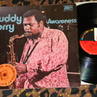 BUDDY TERRY - Awareness - LP 1971 EX+ - pikkukuva 1