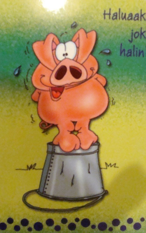 NO 697  - HALUAAKO JOKU HALIN?