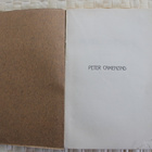 Herman Hesse: Peter Camenzind 1908 - pikkukuva 2