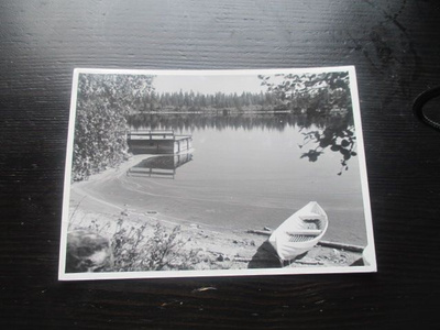 Koli - Pielinen