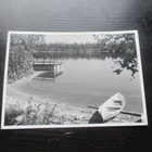 Koli - Pielinen - pikkukuva 1