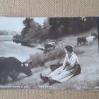 neljä vintage valokuvakorttia 1900-luku alku - pikkukuva 5