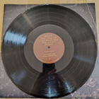 MIREL WAGNER : When the cellar children.. -LP + 7" - pikkukuva 4