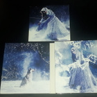 Tarja (Turunen):My winter storm (CD+DVD) (2007) - pikkukuva 2