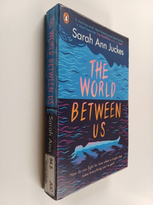 Sarah Ann Juckes : The world between us