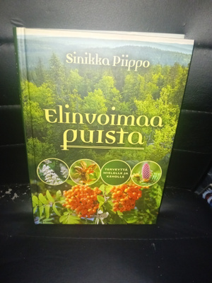 Piippo  : Elinvoimaa puista ( SIS POSTIKULU  )