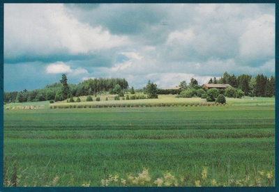 Kokemäki: Köönikänmäki