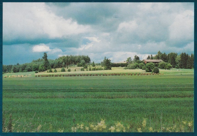 Kokemäki: Köönikänmäki
