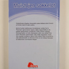 Angela Dorsey : Muistojen sokkelot - pikkukuva 2