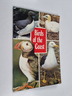 R. Jones : Birds of the Coast - Sea Birds