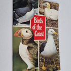 R. Jones : Birds of the Coast - Sea Birds - pikkukuva 1