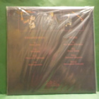 KILL - GREAT DEATH M- / M- GER-2017 LP - pikkukuva 2