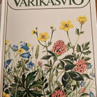 OTAVAN VÄRIKASVIO - pikkukuva 1