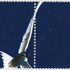 Ål 2005 Ahv. maisemia 0,80 € välilöpari numero ** LaPe 256 - pikkukuva 2