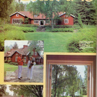 Yhteishyvä n:o 15 1984 Inkoon Gripans. Säkylän muikku. - pikkukuva 2