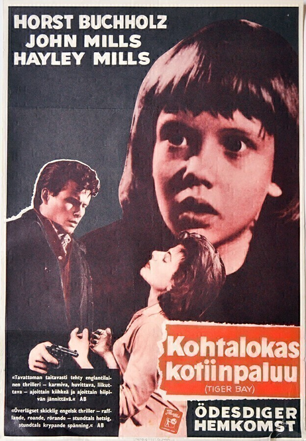 Elokuvajuliste: Kohtalokas kotiinpaluu
