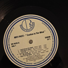Anti-Pasti - Caution in the Wind LP - pikkukuva 3