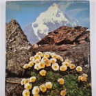 Georg Zwerger : Das goldene Buch der Alpenblumen - pikkukuva 2