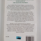 James Redfield : The celestine prophecy : an experiential... - pikkukuva 2
