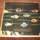 STEVIE WONDER - ORIGINAL MUSIQUARIUM I - 2LP - kokoelma - pikkukuva 2