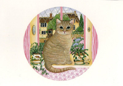 Kissa ikkunalla