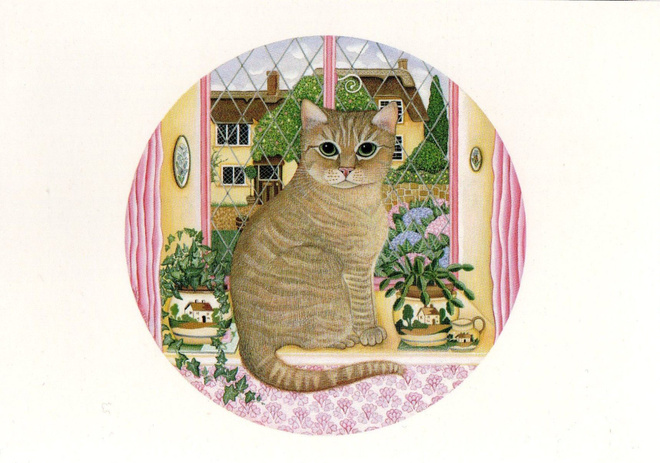 Kissa ikkunalla