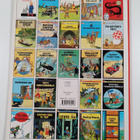 Herge : Castafioren korut - pikkukuva 2