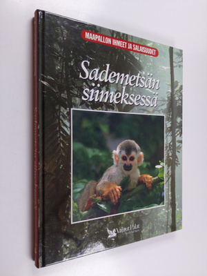 Linda Gamlin : Sademetsän siimeksessä