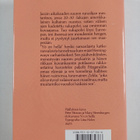 F. Scott Fitzgerald : Yö on hellä - pikkukuva 2