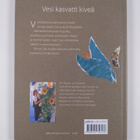Pilvi Puputti : Vesi kasvatti kiveä - pikkukuva 2