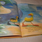 Jane Simmons Aurora ja Peto - pikkukuva 2