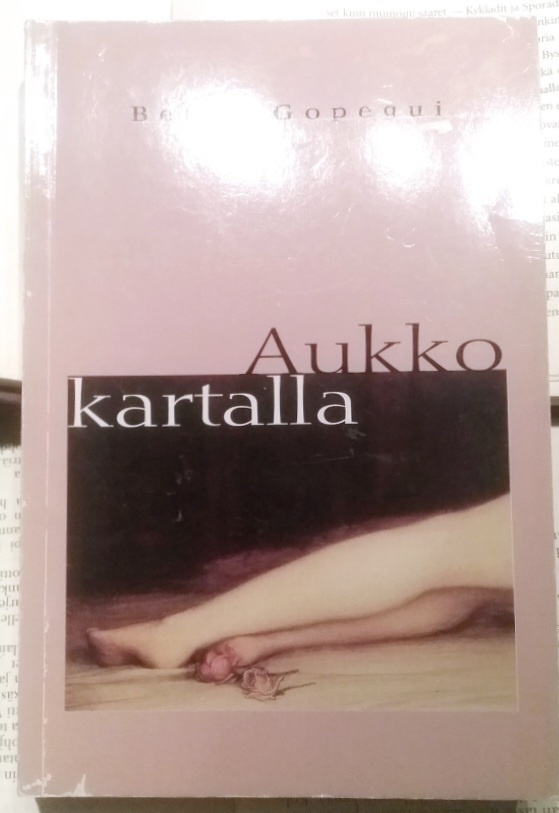 Belen Gopegui - Aukko kartalla (nid.)