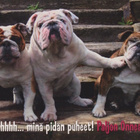 ONNITTELU POSTIKORTTI  - KARTO - pikkukuva 1