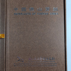 Paper-cuts of foshan china - pikkukuva 2