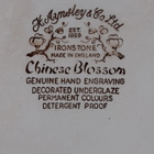 Aynsley RUOKALAUTANEN englantilainen Chinese blossom - pikkukuva 3