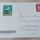 Wendelin: Vaaleita kukkia tuohikontissa, p. 1950 + Tubi-jm - pikkukuva 2