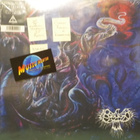 ORANSSI PAZUZU - KOSMONUMENT - FIN 2011 UUSI 2LP - pikkukuva 1