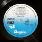 The Fabulous Thunderbirds - T-Bird Rhythm *Jimmie Vaughan* - pikkukuva 3