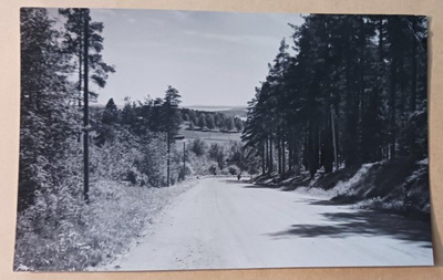 Koli, kulkija maantiellä, SMY 1414, mv vkpk, ei p.