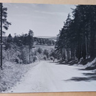 Koli, kulkija maantiellä, SMY 1414, mv vkpk, ei p. - pikkukuva 1